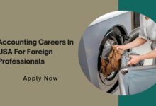 Accounting Careers In USA For Foreign Professionals