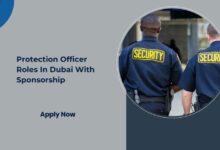 Protection Officer Roles In Dubai With Sponsorship