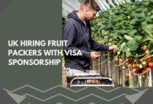 UK Hiring Fruit Packers With Visa Sponsorship