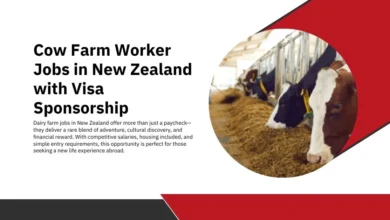 Cow Farm Worker Jobs in New Zealand