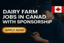 Dairy Farm Jobs in Canada with Sponsorship