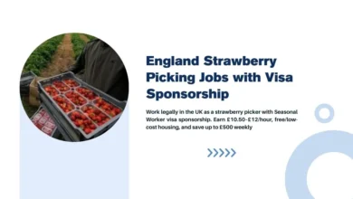 England Strawberry Picking Jobs