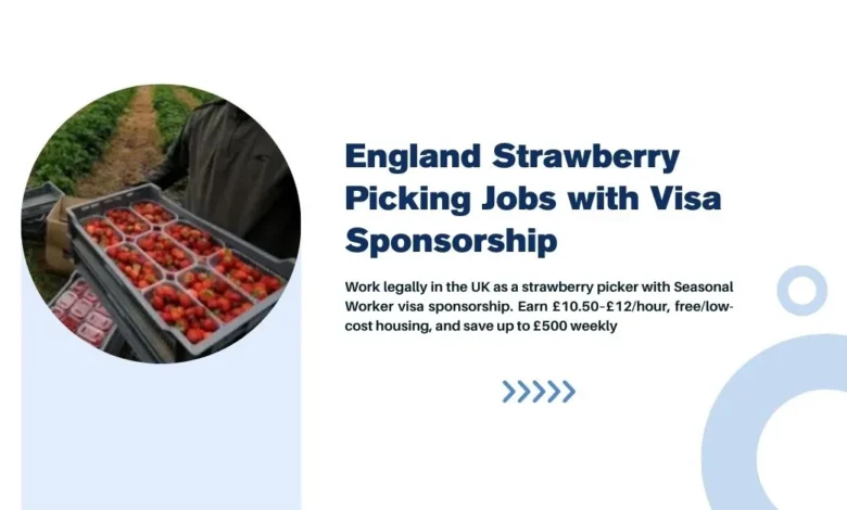 England Strawberry Picking Jobs
