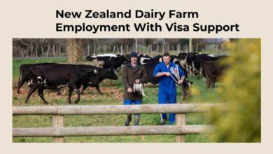 New Zealand Dairy Farm Employment With Visa Support