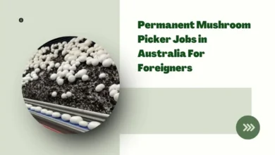 Permanent Mushroom Picker Jobs in Australia