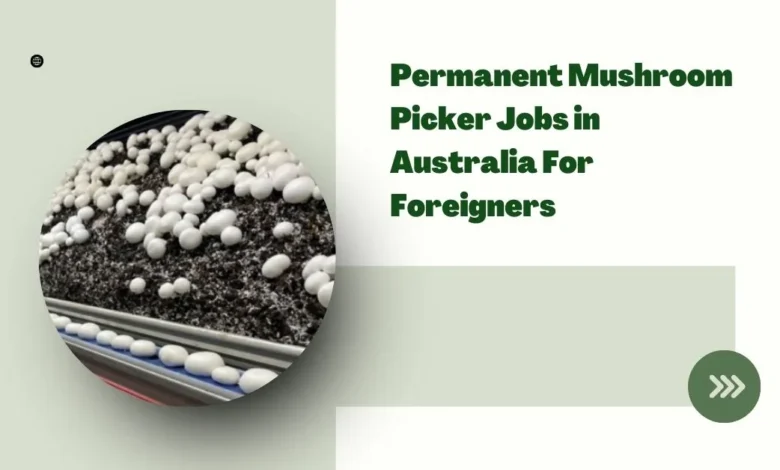 Permanent Mushroom Picker Jobs in Australia