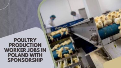 Poultry Production Worker Jobs In Poland with Sponsorship