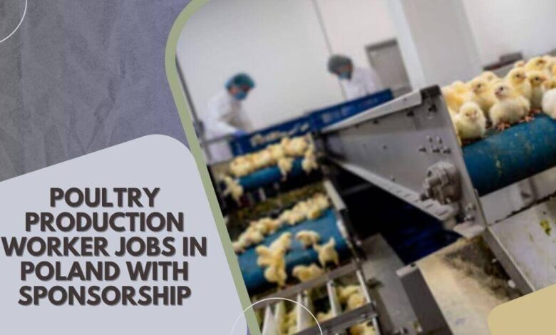 Poultry Production Worker Jobs In Poland with Sponsorship