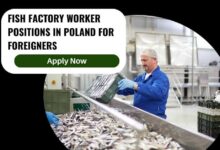 Fish Factory Worker Positions In Poland For Foreigners