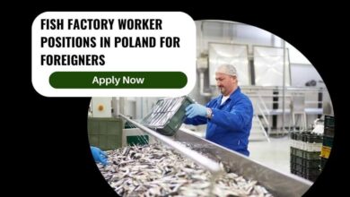 Fish Factory Worker Positions In Poland For Foreigners