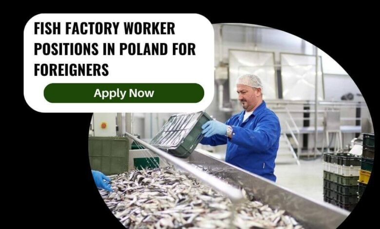 Fish Factory Worker Positions In Poland For Foreigners
