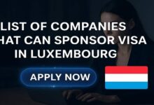 List of Companies That Can Sponsor Visa in Luxemburg