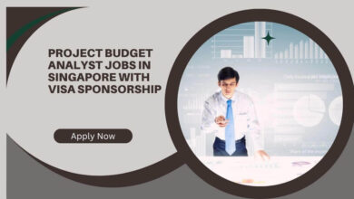 Project Budget Analyst Jobs In Singapore With Visa Sponsorship