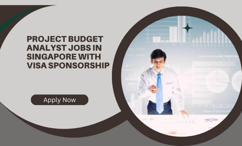Project Budget Analyst Jobs In Singapore With Visa Sponsorship