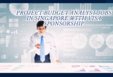 Project Budget Analyst Jobs In Singapore With Visa Sponsorship