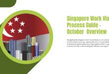 Singapore Work Visa Process