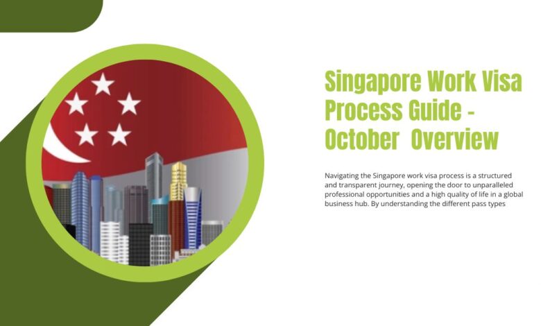 Singapore Work Visa Process