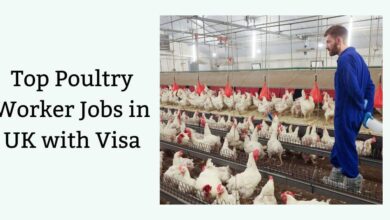Top Poultry Worker Jobs in UK with Visa