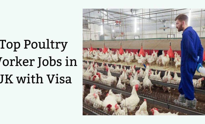 Top Poultry Worker Jobs in UK with Visa
