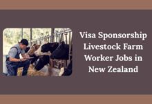 Livestock Farm Worker Jobs in New Zealand