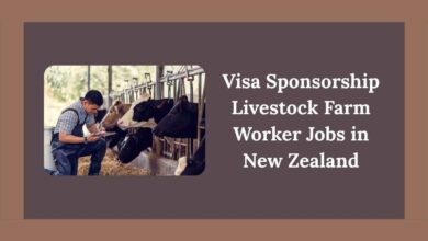 Visa Sponsorship Livestock Farm Worker Jobs in New Zealand