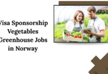 Visa Sponsorship Vegetables Greenhouse Jobs in Norway