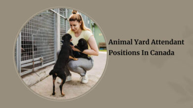 Animal Yard Attendant Positions In Canada