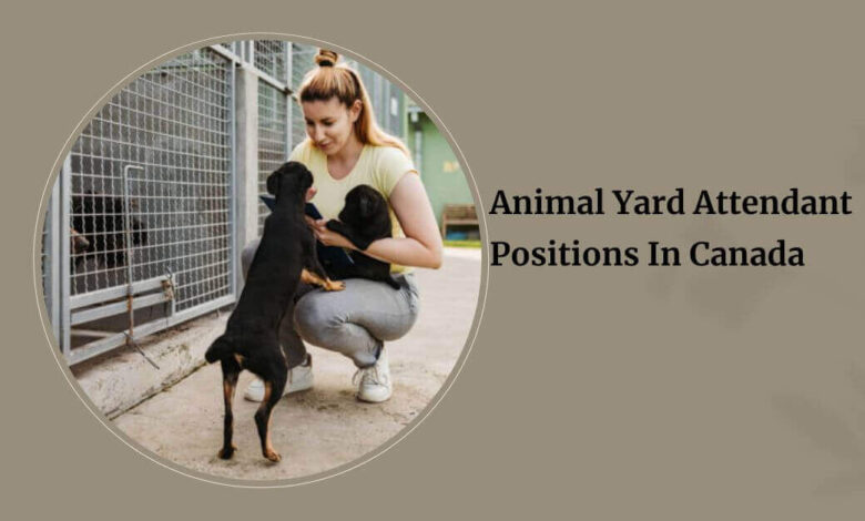 Animal Yard Attendant Positions In Canada