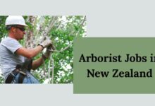 Arborist Jobs in New Zealand