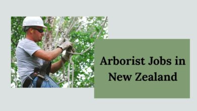 Arborist Jobs in New Zealand
