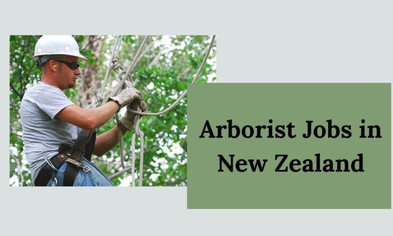 Arborist Jobs in New Zealand