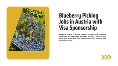 Blueberry Picking Jobs in Austria