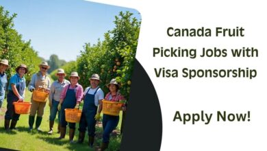 Canada Fruit Picking Jobs with Visa Sponsorship
