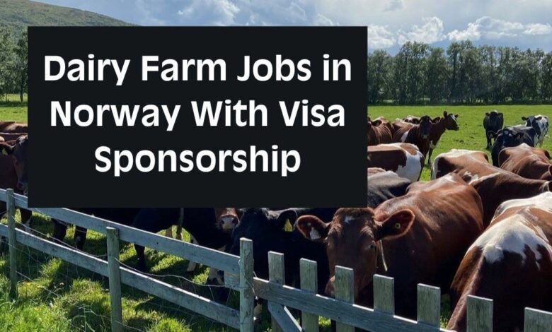 Dairy Farm Jobs in Norway With Visa Sponsorship