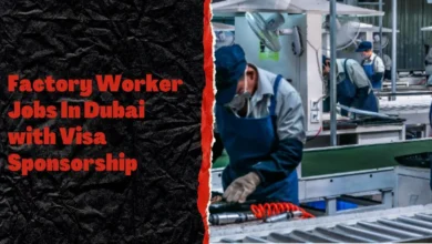 Factory Worker Jobs In Dubai