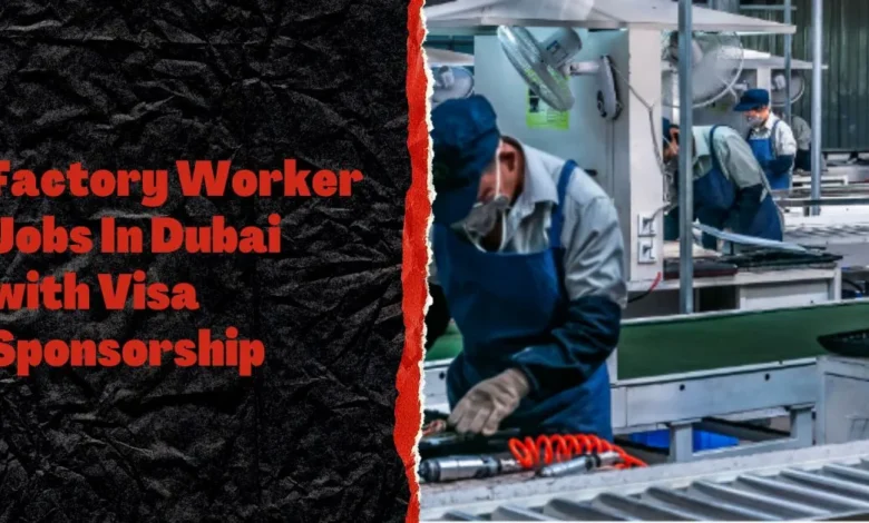 Factory Worker Jobs In Dubai