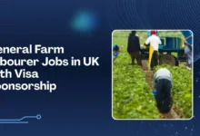General Farm Labourer Jobs in UK