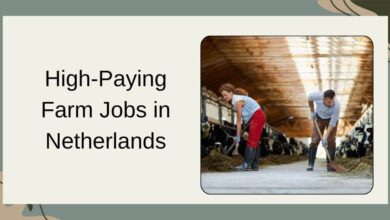 High-Paying Farm Jobs in Netherlands