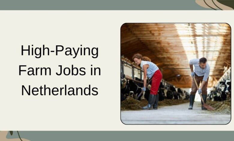 High-Paying Farm Jobs in Netherlands
