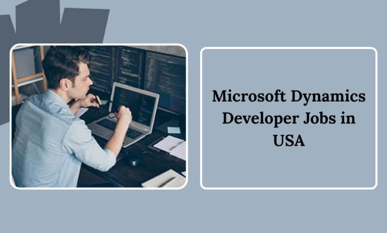 Microsoft Dynamics Developer Jobs in USA