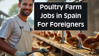 Poultry Farm Jobs in Spain For Foreigners