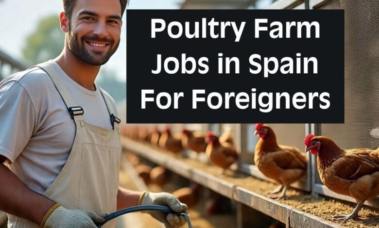 Poultry Farm Jobs in Spain For Foreigners