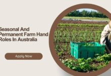 Seasonal And Permanent Farm Hand Roles In Australia