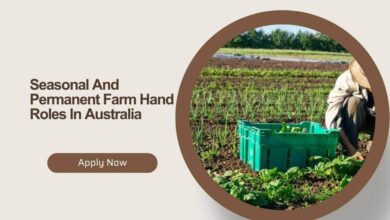 Seasonal And Permanent Farm Hand Roles In Australia