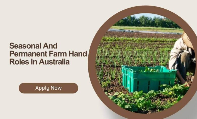 Seasonal And Permanent Farm Hand Roles In Australia
