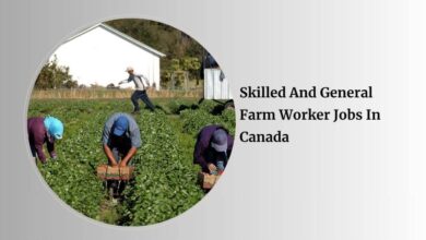 Skilled And General Farm Worker Jobs In Canada