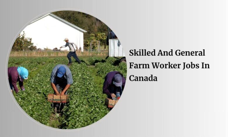 Skilled And General Farm Worker Jobs In Canada
