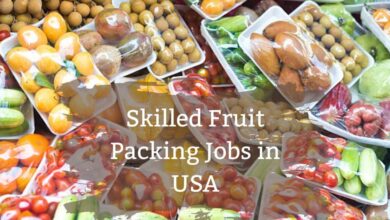 Skilled Fruit Packing Jobs in USA