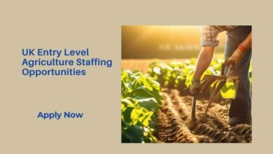 UK Entry Level Agriculture Staffing Opportunities