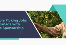 Apple Picking Jobs in Canada